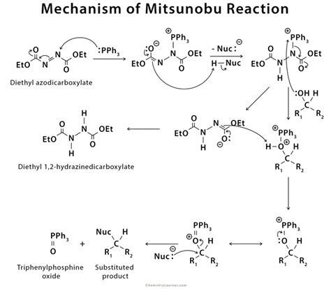 Mitsunobu Reaction Examples Mechanism And Application