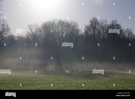 Misty Winters Morning On A Grass Field By Ludwell Valley Park Exeter