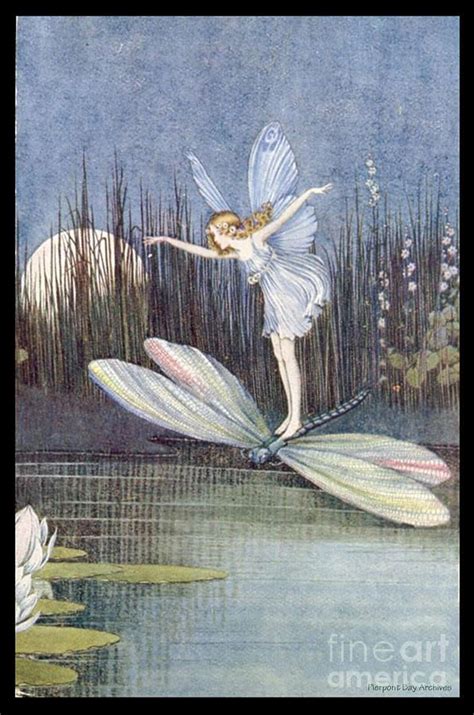Fairy Rides A Dragonfly Across A Midnight Pond Digital Art By Pierpont