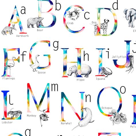 Personalised Animal Alphabet A3 Print By Charlotte Duffy Design