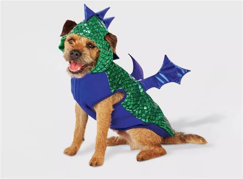 Dragon Dog Costumes 9 Fiery Halloween Outfits To Melt Your Heart