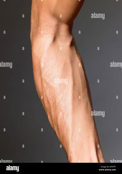 Veins Arm Hi Res Stock Photography And Images Alamy