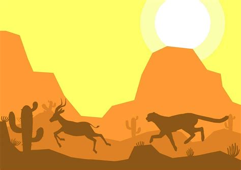 cheetah hunt impala deer animal silhouette desert savanna landscape