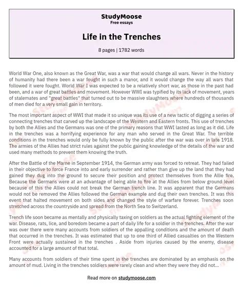 🎉 World War 1 Life In The Trenches Essay Essay About Life In The