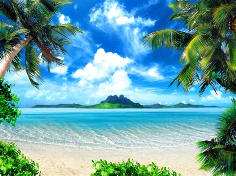 Das unternehmen verwendet als rechtsform eine. XL Fototapete Tapete Insel Paradies Sand Meer