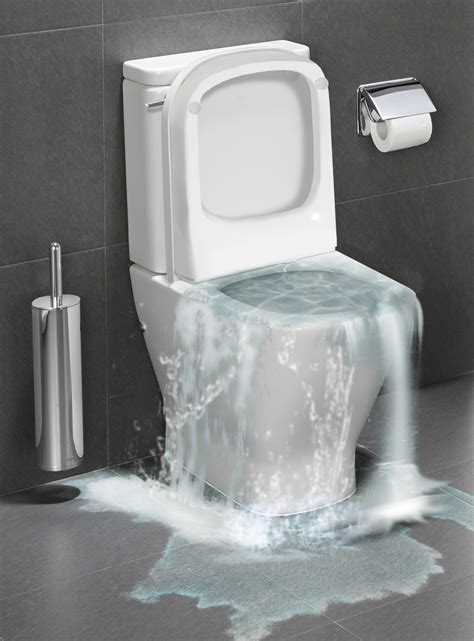 Aquamanagers Toilet Guardian Flood Prevention For Toilets