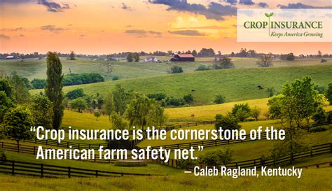 We did not find results for: Slicing crop insurance cuts at America's Heartland - Crop Insurance In My State