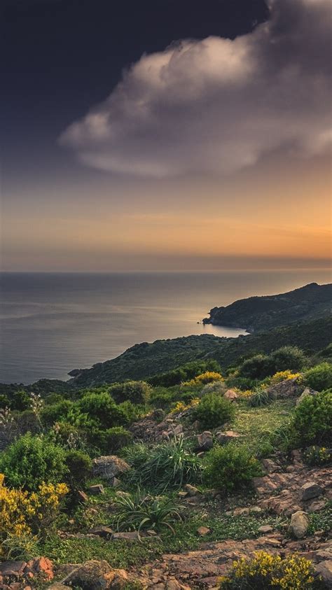 France Corsica Mediterranean Sea Beach Rocks Sunset 828x1792