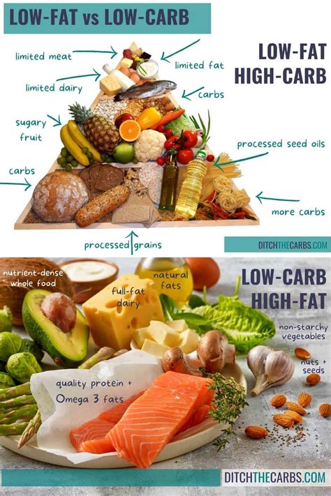 Low Carb Vs Low Fat Which Is Best Thinlicious