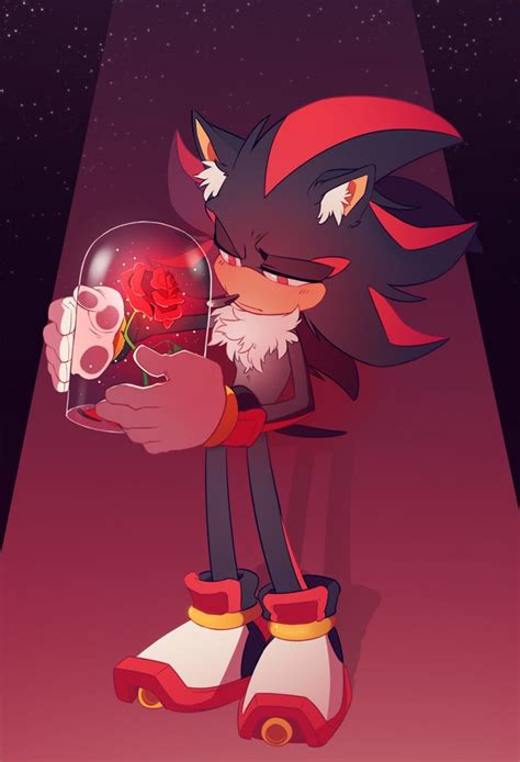 Sonic And Shadow The Hedgehog Fan Art