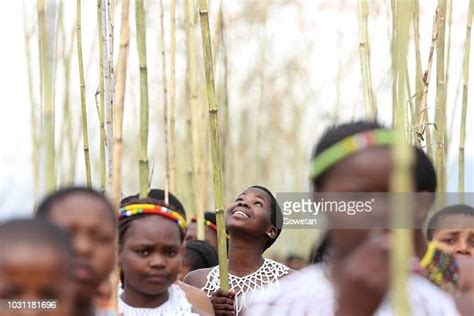 maidens gather for the annual umkhosi womhlanga at enyokeni royal nachrichtenfoto getty images