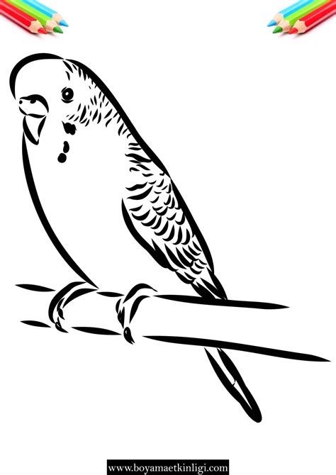 Kalitesiz eczane Gölgeli kuş resmi boyama sayfaları giriş Yatay Sahte