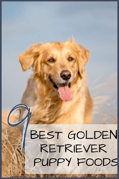 The formula is tailored specifically to your breeds needs according to size, breed, lifestyle and age. 9 Best Golden Retriever Puppy Foods with Our 2020 Feeding ...