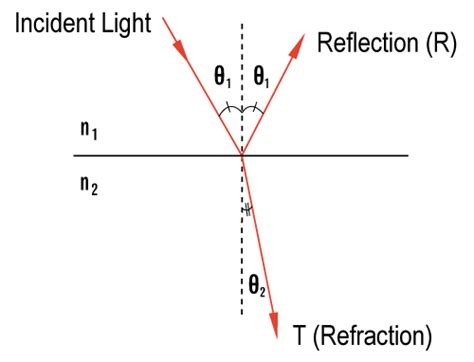 The reflected ray is always in the plane defined by the incident ray and the normal to the surface. Reflection & Refraction of Light Tutorial
