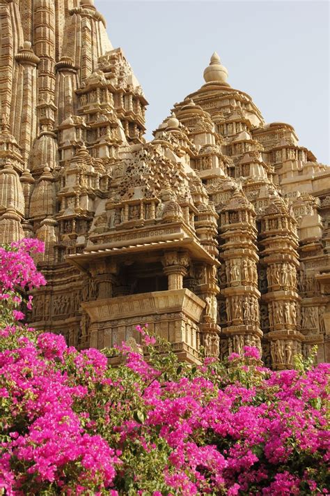 Pink Flowers Decorating The World Heritage Monuments Of Khajuraho In