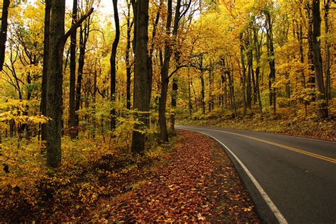 Driving Through Fall Flickr Photo Sharing