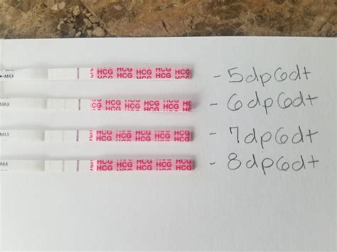 What Does A Positive Pregnancy Test Really Look Like Page 25 — The Bump