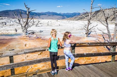 23 Incredible Things To Do In Yellowstone National Park For First Time