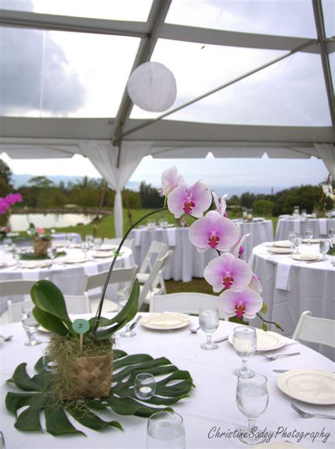 Tropical Orchid Table Centerpiece At Charlie S Pond Bridal Table Decorations Orchid