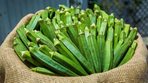 How To Cook Frozen Okra Without The Slime Cut Sliced Diced