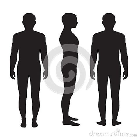 Search images from huge database containing over 1,250,000 1024x1024 human body front and back stock vector ankomando. Human body anatomy, stock vector. Illustration of design ...