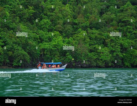 Mangrove Tour Langkawi Island Malaysia Stock Photo Alamy