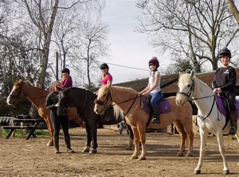 Manor Farm Riding School Abrs Approved Association Of British Riding