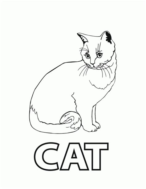 Cat with three kittens this picture can be used not only for coloring but also to teach your kid how to spell the word 'cat'. Free Printable Cat Coloring Pages For Kids