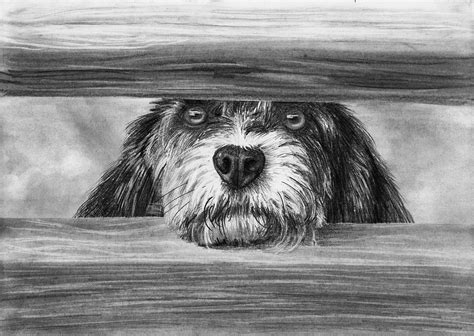 Okay, so we have a dachshund, a bulldog, a dalmatian and a labrador puppy! How to Draw a Dog at the Gate — Online Art Lessons