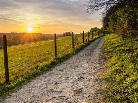 5 Of The Best Walks In The Chilterns And Thames Valley Wanderlust