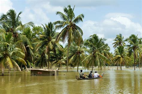 From wikipedia, the free encyclopedia. In India, Nature's Power Overwhelms Engineered Wetlands ...