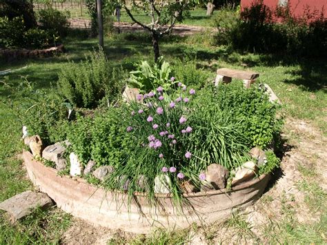 They are convenient to care for. Shelley Macdonald Designs: May 2011