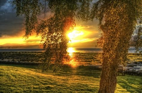 Solid color background wallpapers simple plain fresh colors collection, download neat and clean background images for your smartphone. Plain View - Sunsets & Nature Background Wallpapers on ...