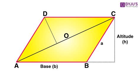 Rhomboid Rhomboid Shape Definition Formulas Properties And Example