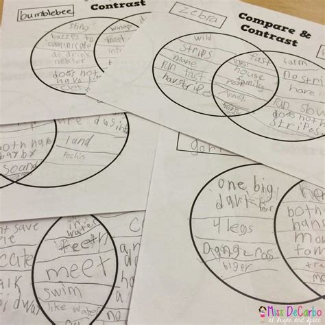 Compare And Contrast Activity Fun Miss Decarbo