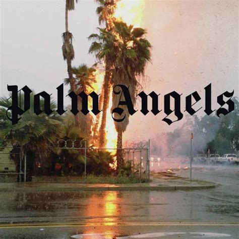 Vlone Palm Angels Wallpapers Wallpaper Cave