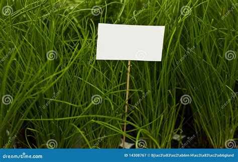 Blank Sign Plants Stock Photos Download 727 Royalty Free Photos