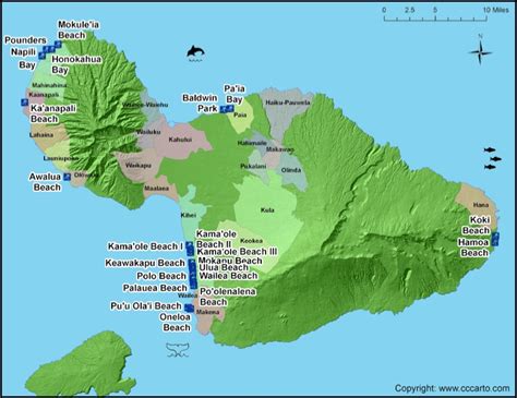 Maui Surf Beaches Maui Surf Areas