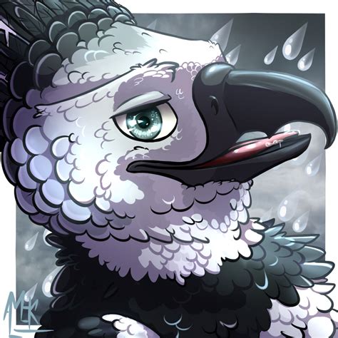 Commission Icon Harpy Eagle By Maralmok On Deviantart