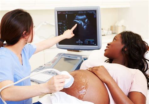 pelvic ultrasound reproductive solutions ja