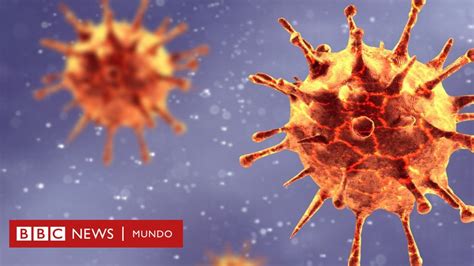 Coronavirus Por Qu Covid Se Llama As Y C Mo Se Nombran Los Virus Y Las Enfermedades