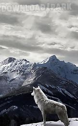 Tumblr is a place to express yourself, discover yourself, and bond over the stuff you love. Wolf live wallpaper Android Animiert Hintergrundbild ...