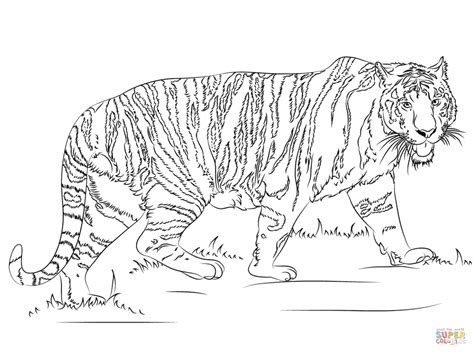 Animal printables page 4 free printable templates coloring pages firstpalette com. Get This Tiger Coloring Pages Printable 90426