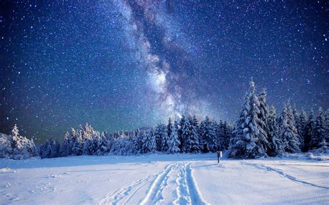 Starry Sky Over Winter Forest Image Id 311227 Image Abyss