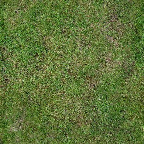 Free Texture Grass Clean Vegetation High Resolution Images