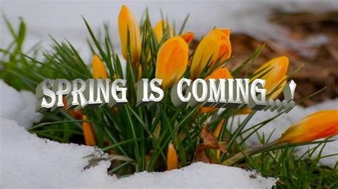 Spring Is Coming Youtube