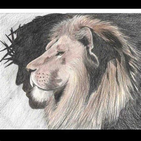 Jesus The Lion Of The Tribe Of Judah Lion Of Judah Jesus Lion And