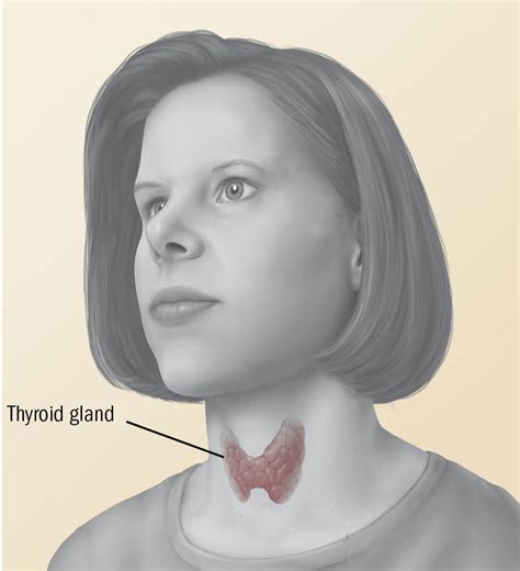 Thyroid Harvard Health Blog Harvard Health Publications