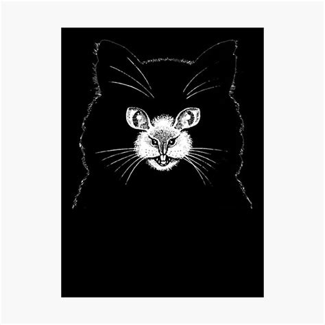 Cat Woman Mouse OPTICAL ILLUSION Metamorphic Art Sketch Drawing Photo