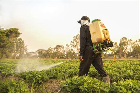 Exposure To Pesticides May Increase Risk Of Liver Cancer Live Science